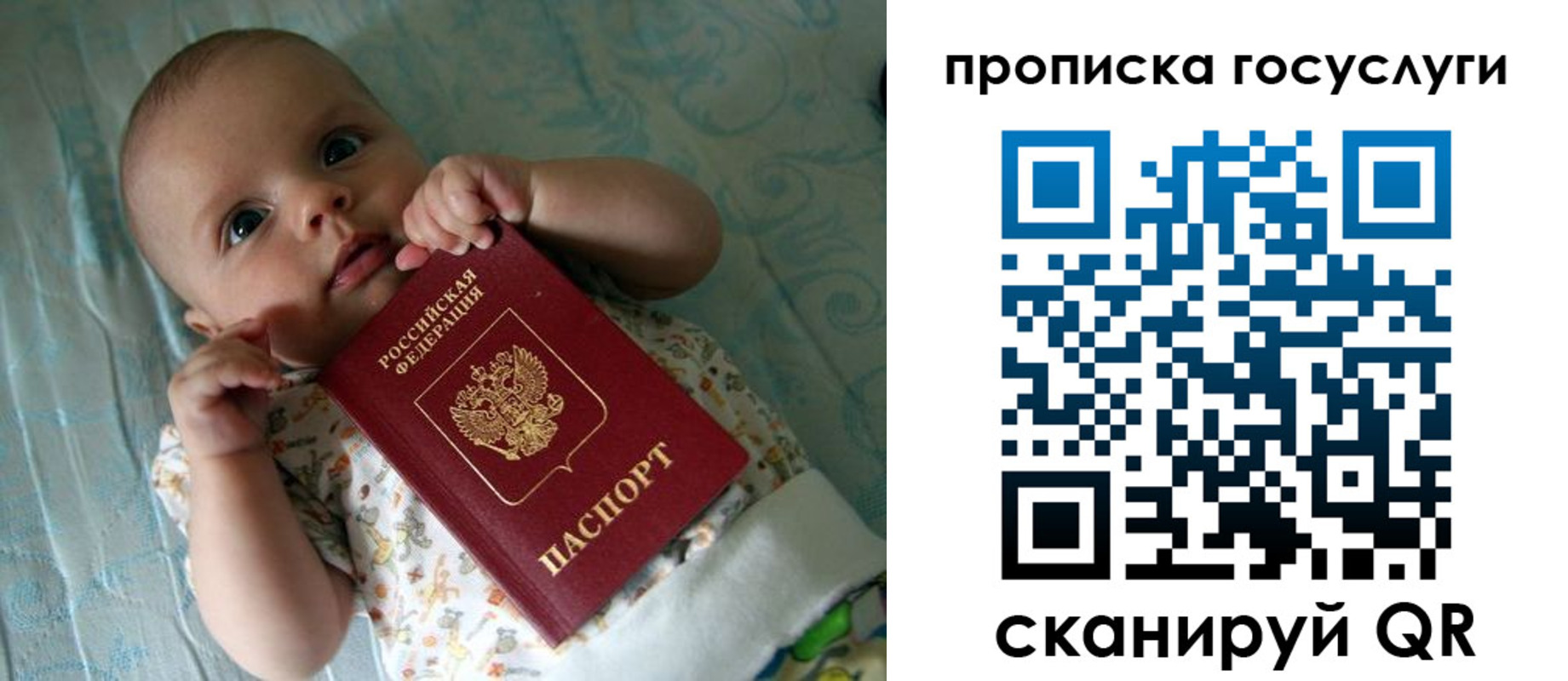 прописка регистрация в Тамбове